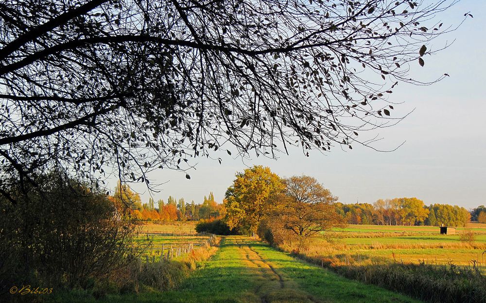 Herbstwege (2)