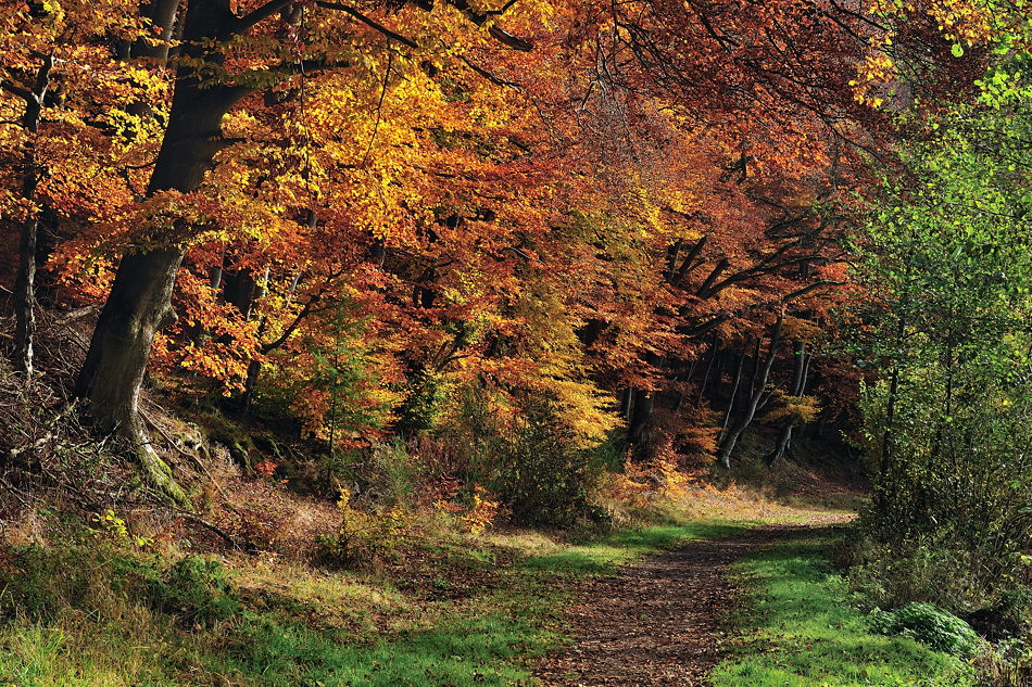 *Herbstwege*