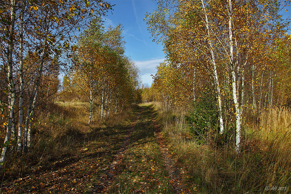 Herbstwege