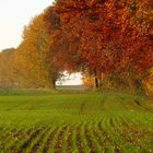 Herbstwege