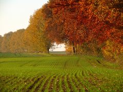 Herbstwege