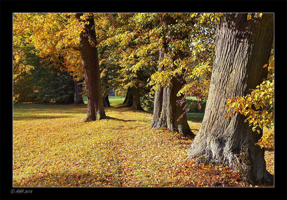 Herbstwege