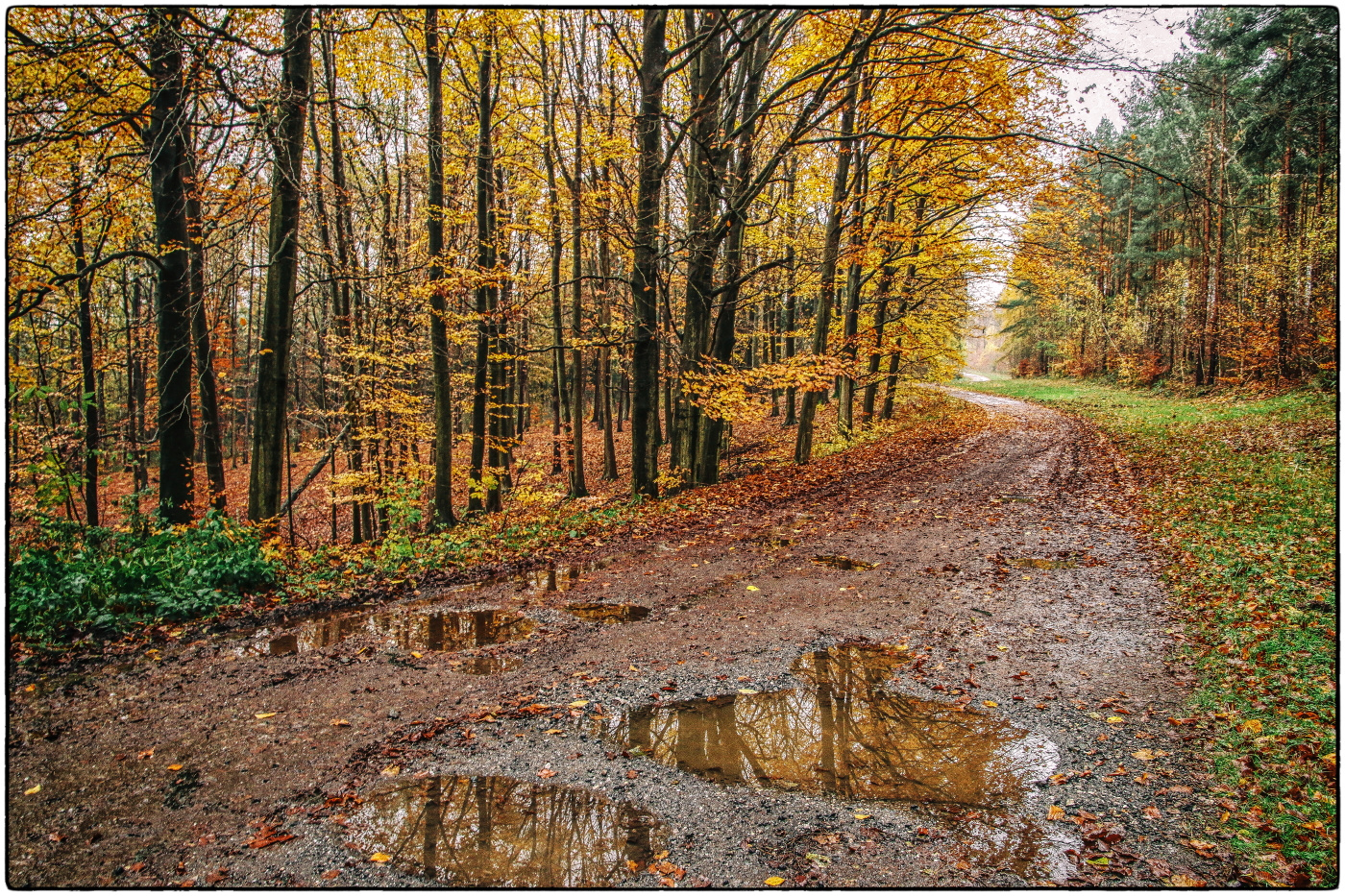 Herbstwege