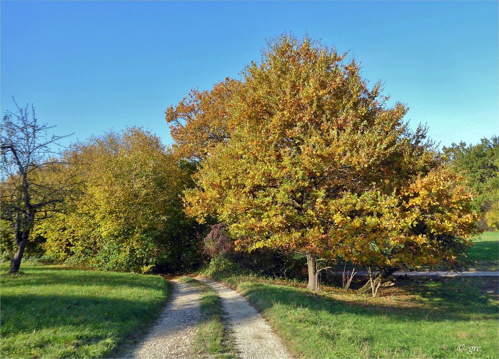 Herbstwege...