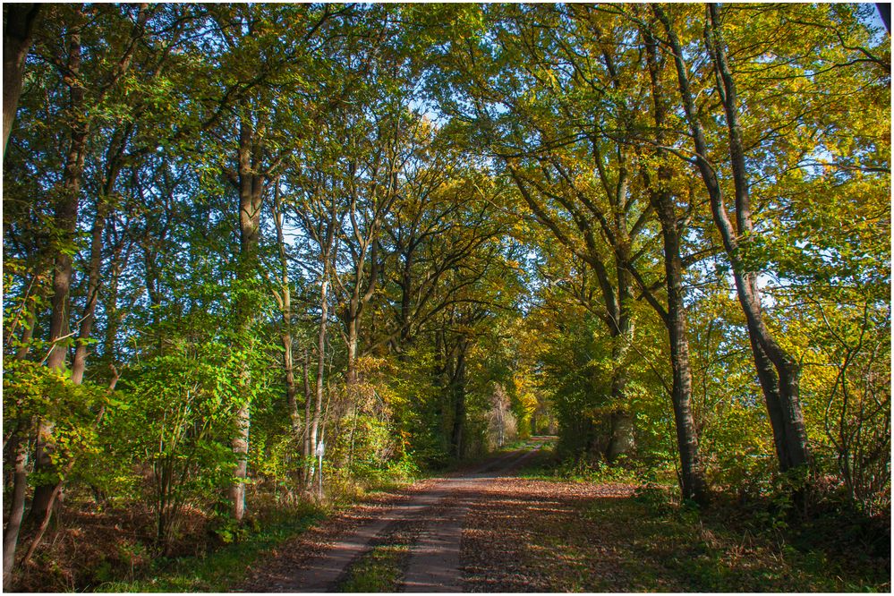 Herbstwege