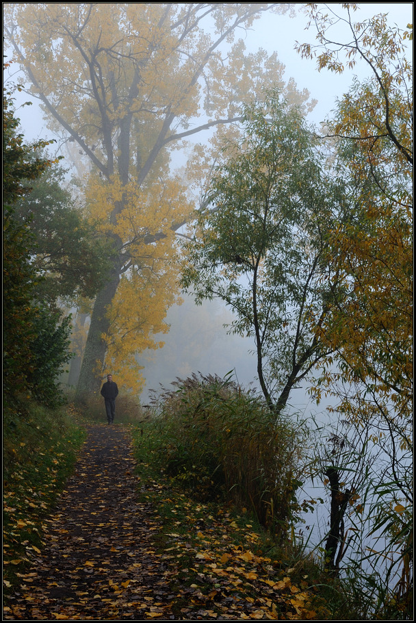 Herbstwege