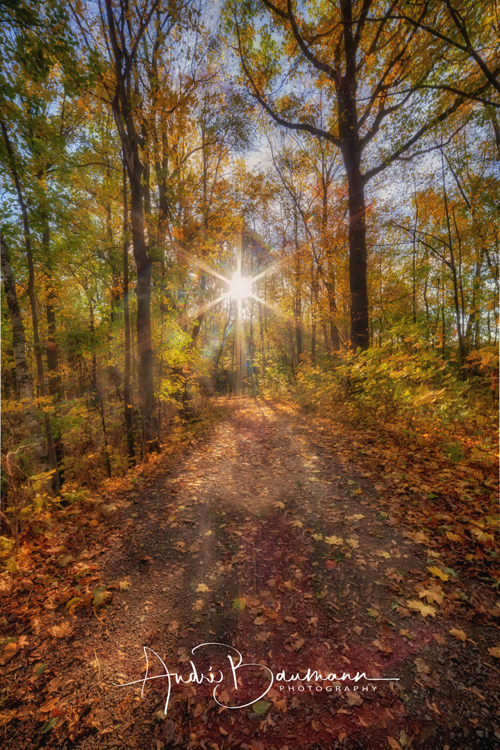 Herbstwege