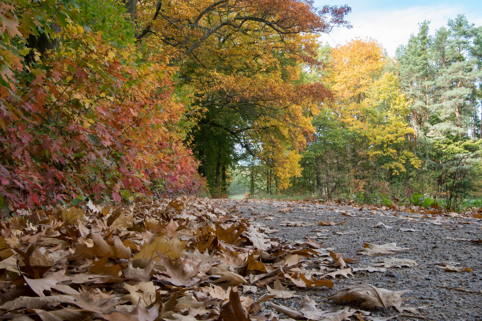 Herbstwege ...