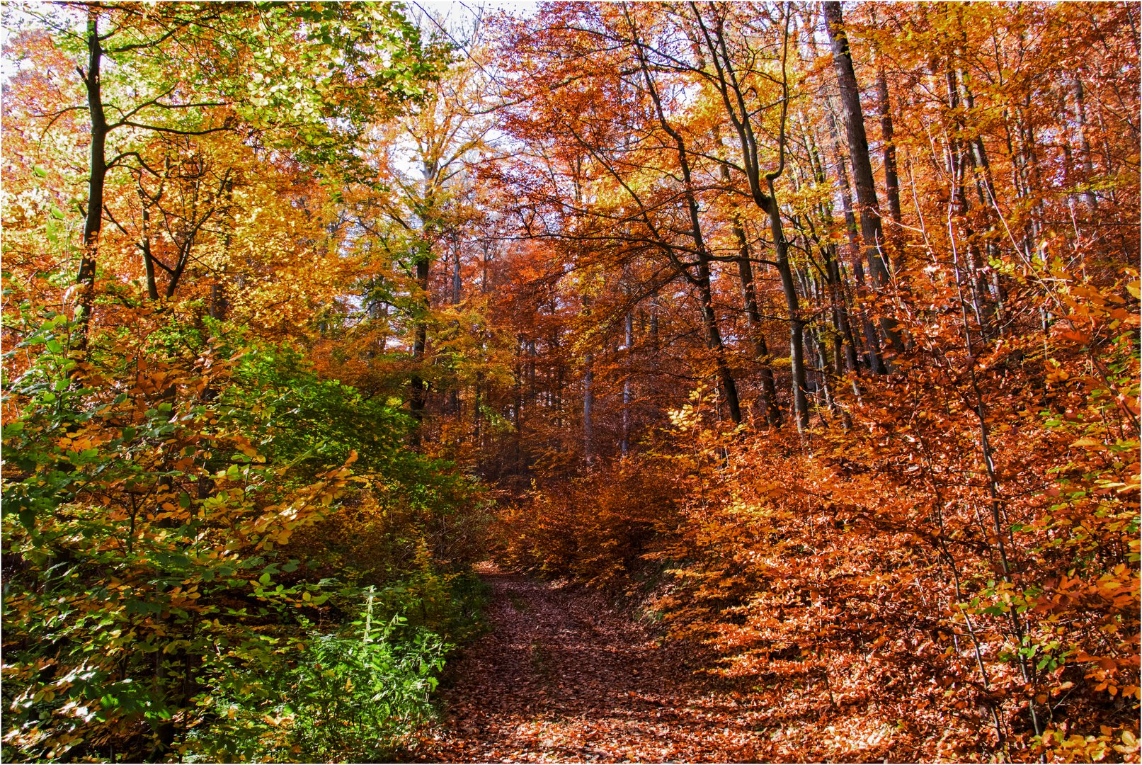 HerbstWege