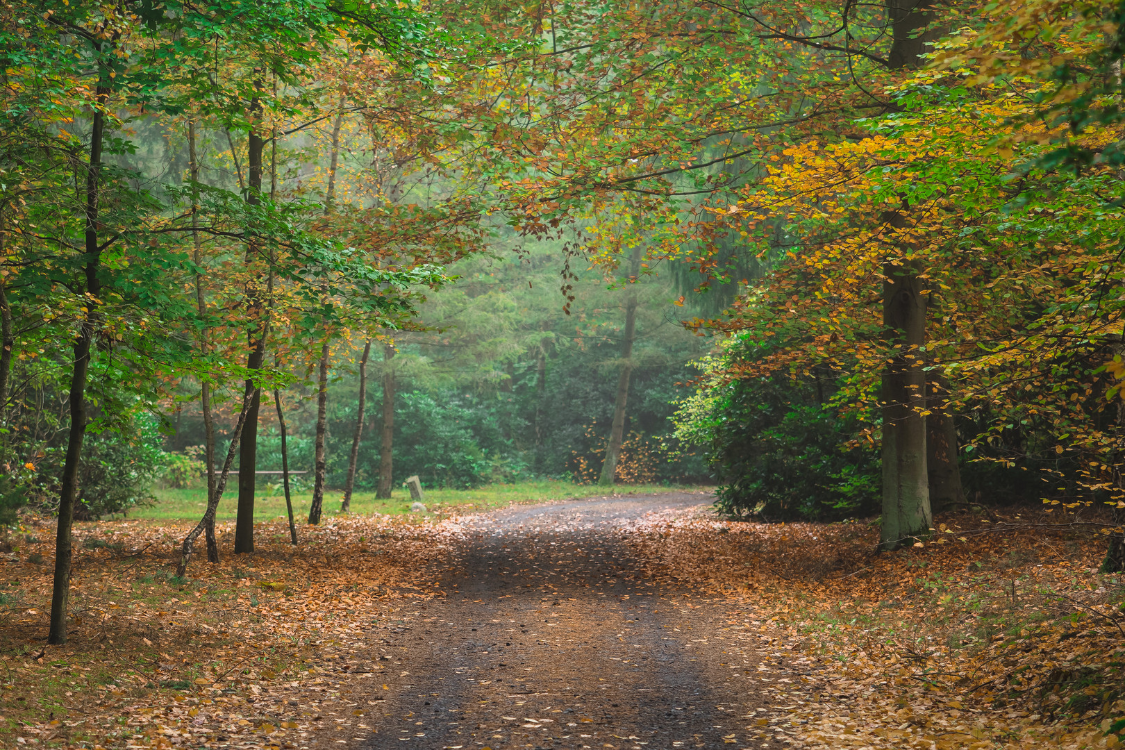 Herbstwege III