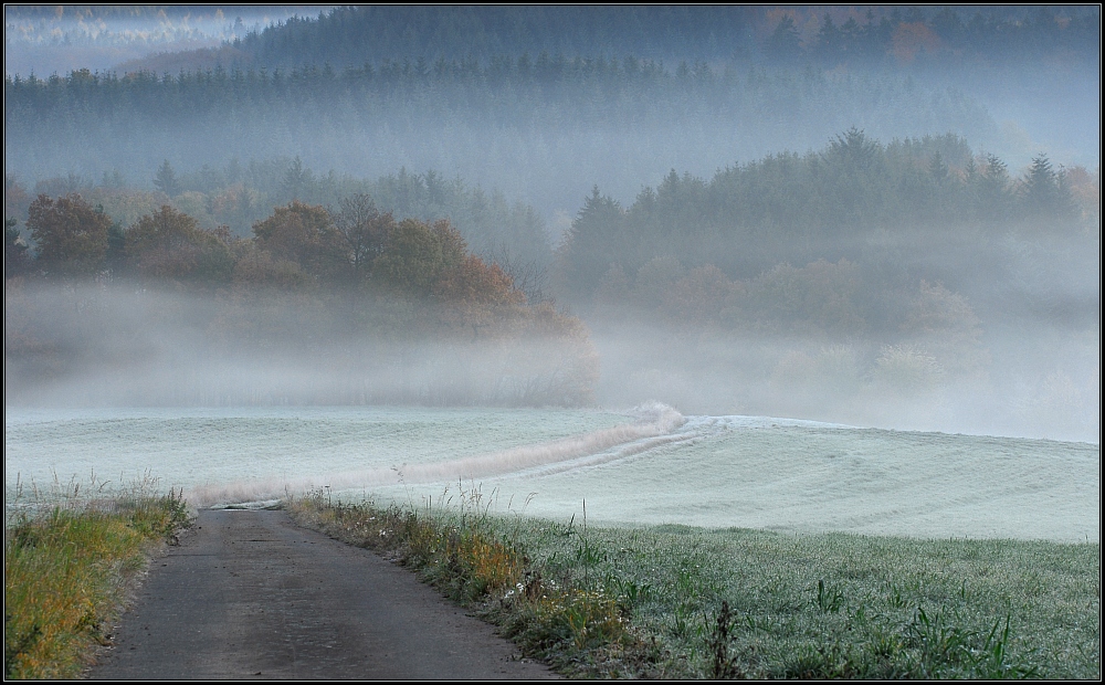 *Herbstwege V*