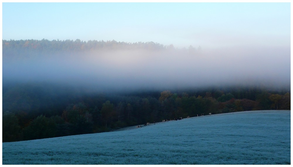 Herbstweide