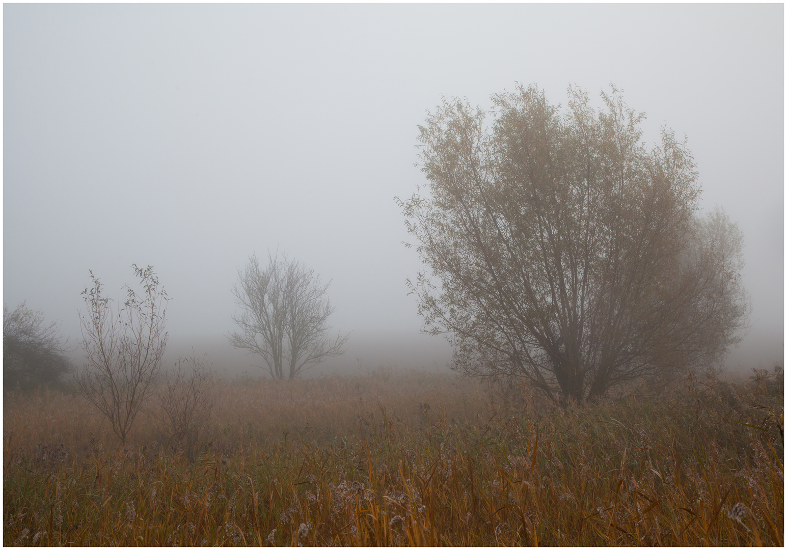 Herbstweide