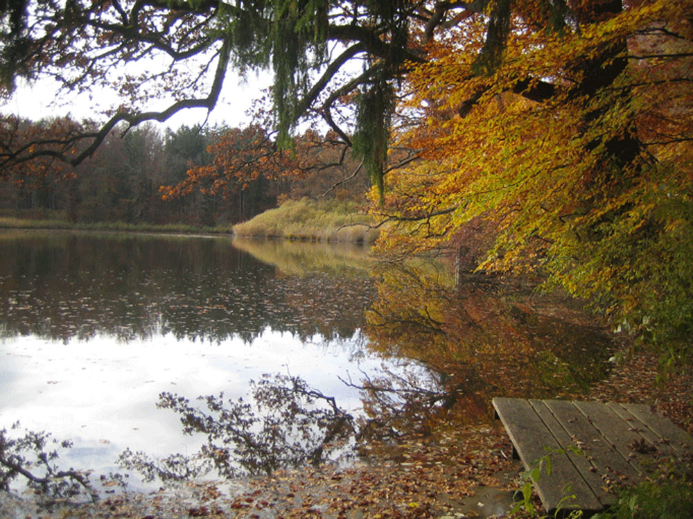 Herbstweiher