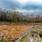 Herbst:Weiher