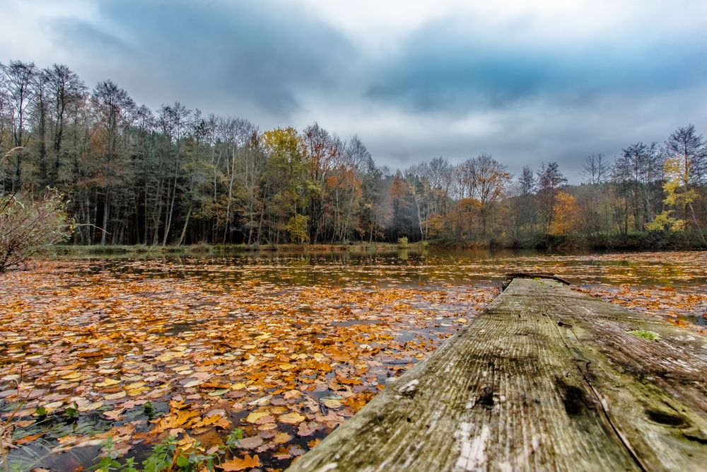 Herbst:Weiher