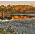 Herbstweiher