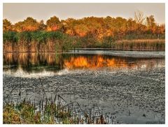 Herbstweiher