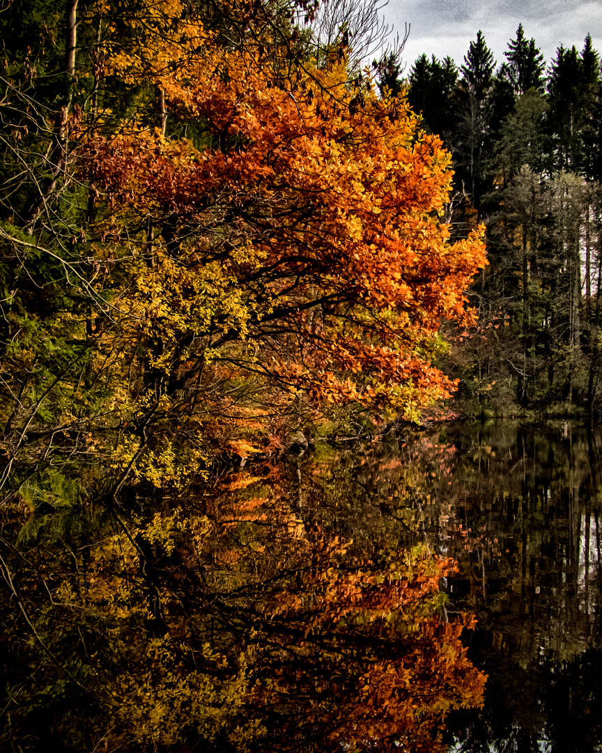 Herbstweiher