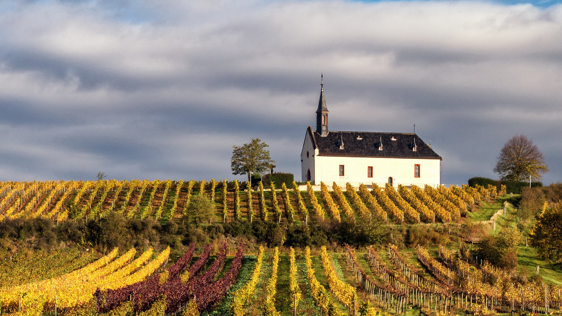 Herbstwein