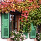 Herbstwein am Haus