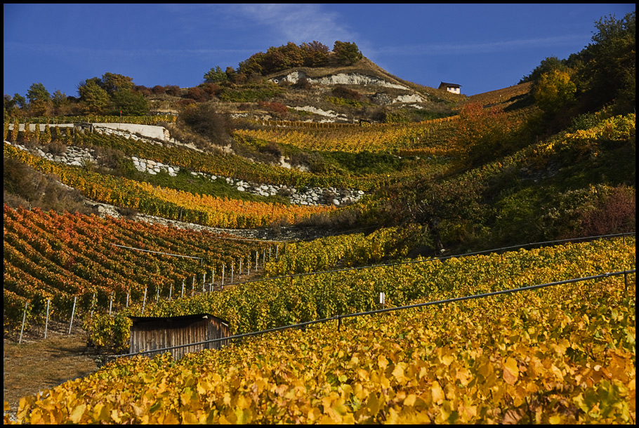 Herbstweinfarben