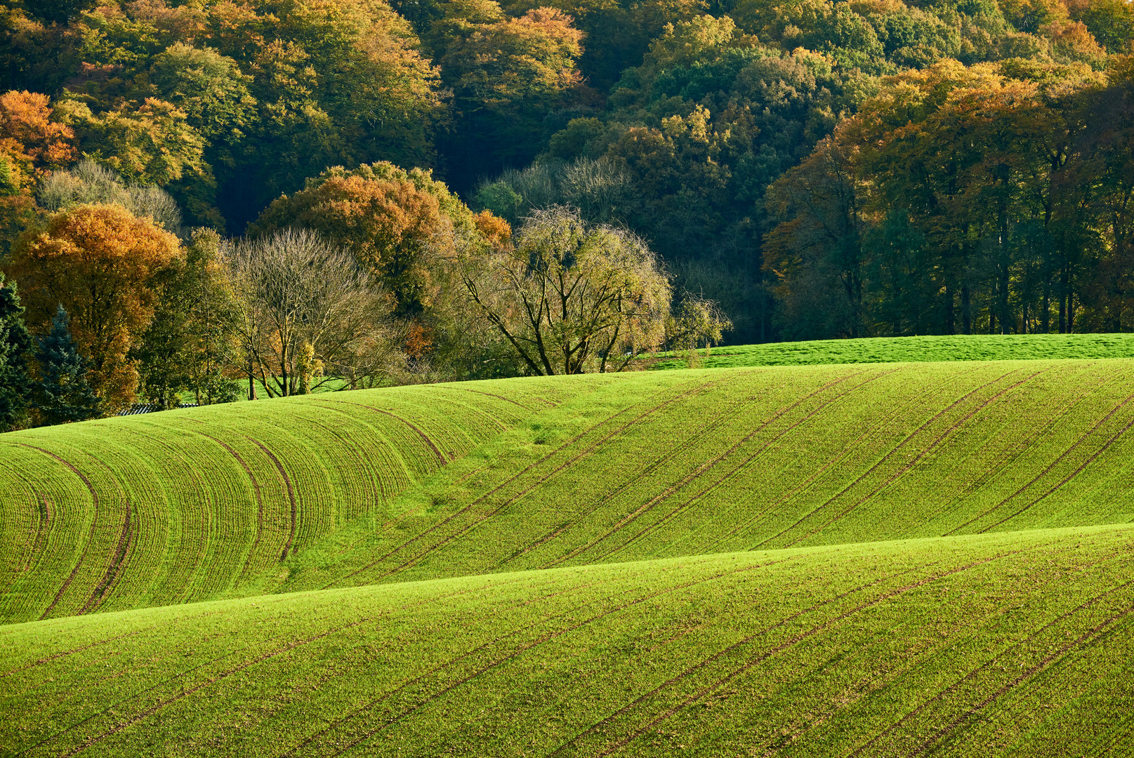 Herbstwellen