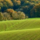 Herbstwellen