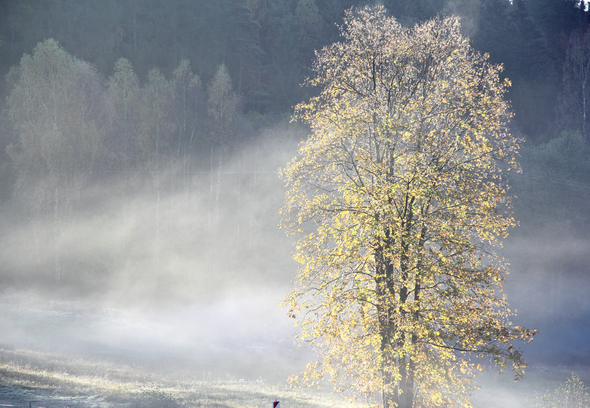 Herbstweltn