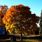 "HERBSTWERBUNG"