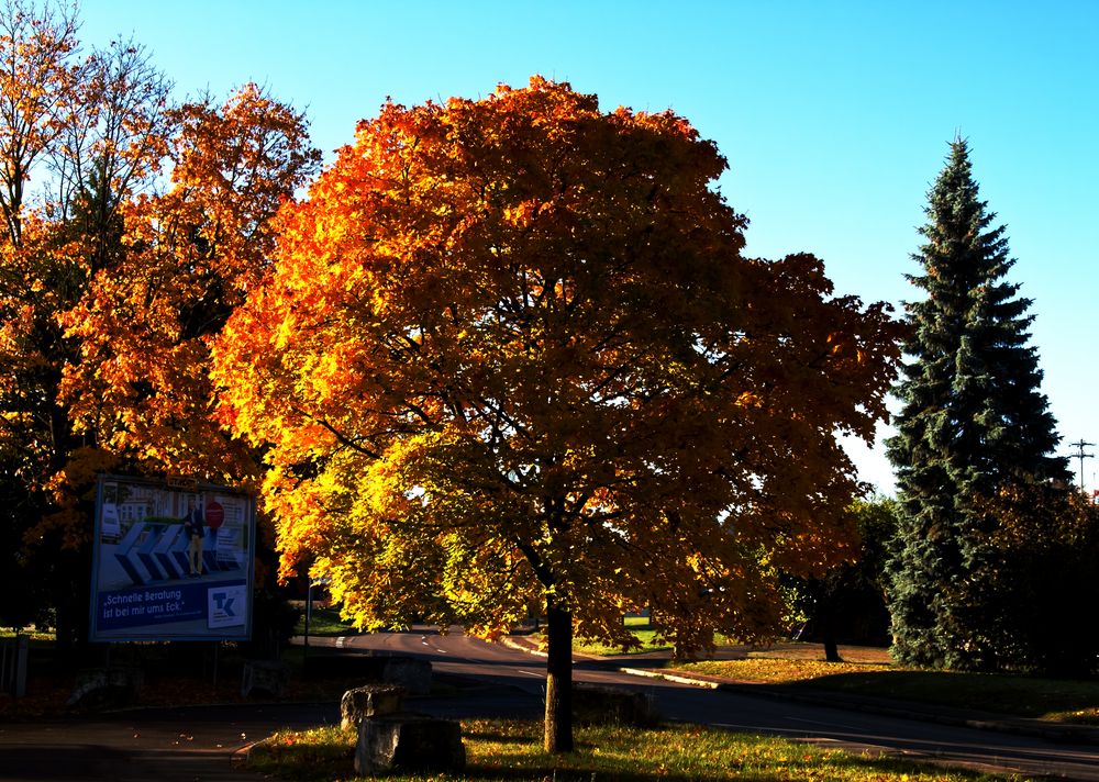 "HERBSTWERBUNG"