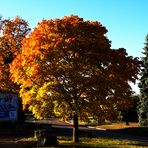 "HERBSTWERBUNG"