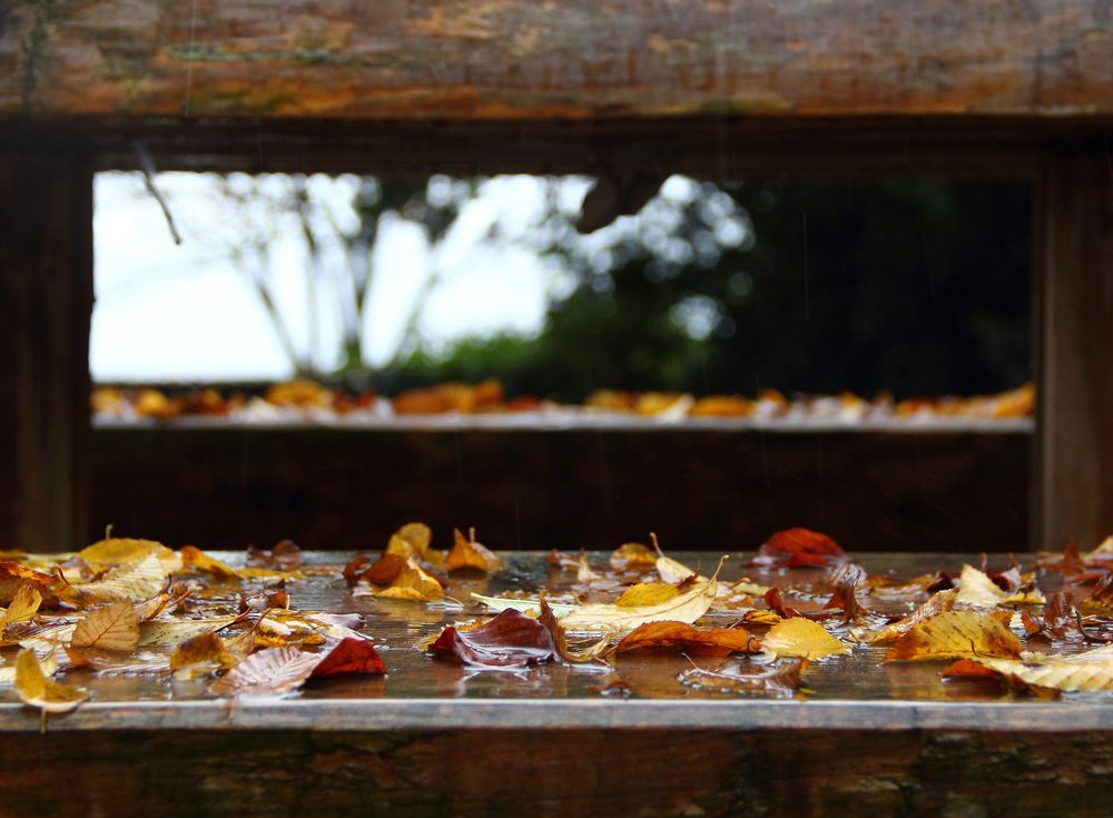 Herbstwetter