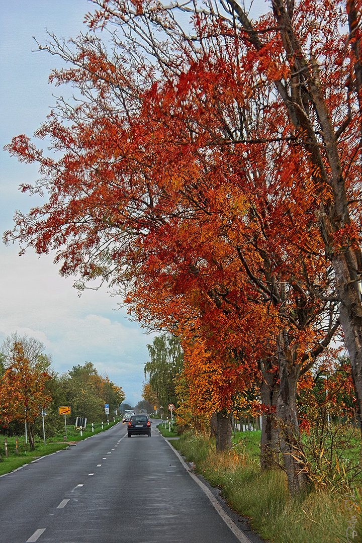 Herbstwetter...