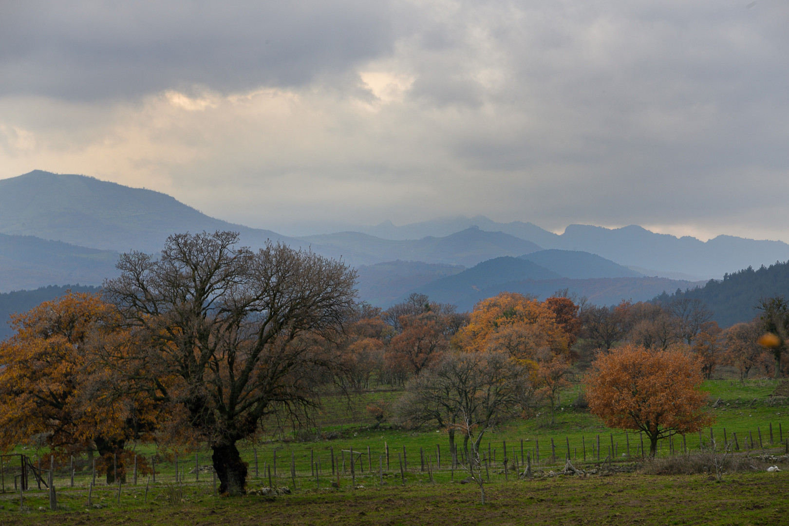   Herbstwetter