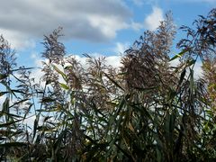 Herbstwetter