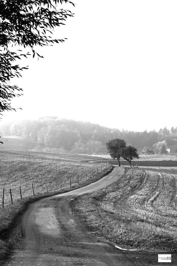 Herbstwetter