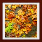 herbst_WET_ter