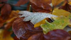 *** Herbstwetter ***