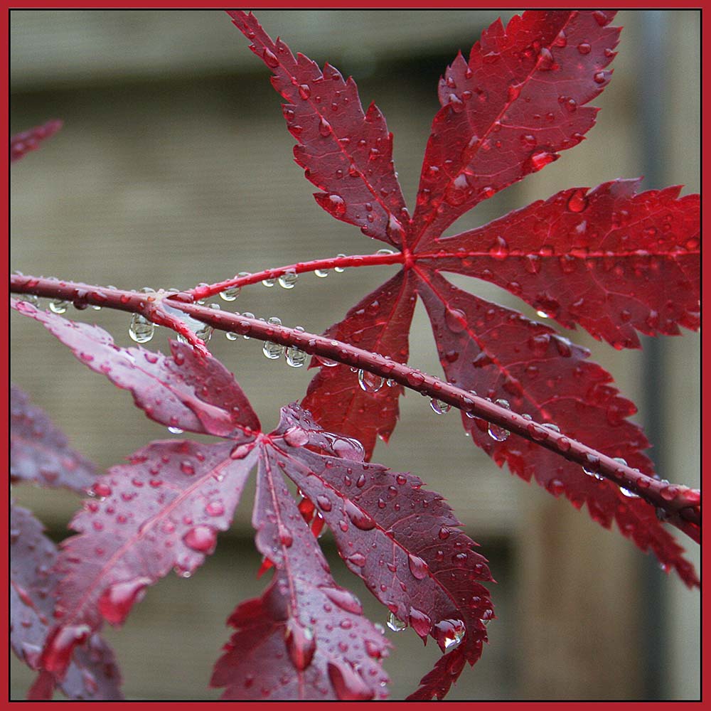 Herbstwetter