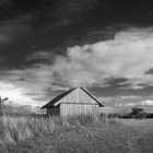 Herbstwetter am Feldrand