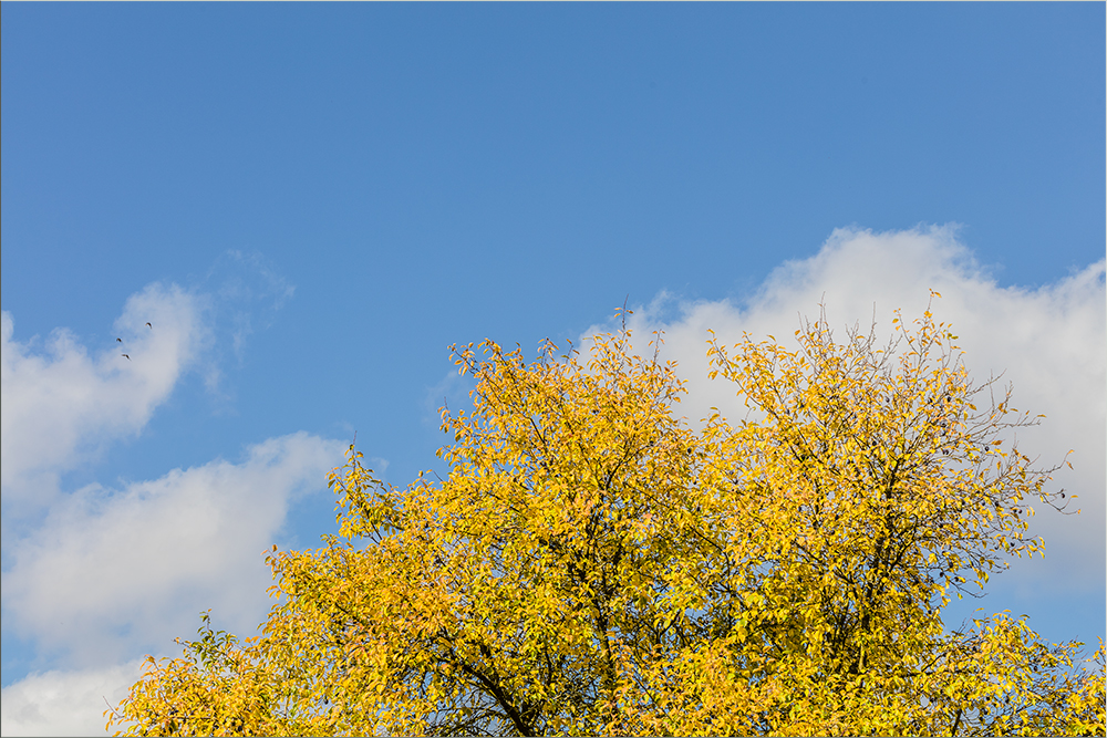 Herbstwetter