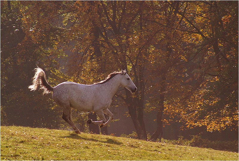 Herbstwetter