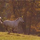 Herbstwetter