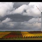 Herbstwetter.