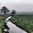 Herbstwetter im Mai