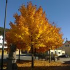 Herbstwetter in Wallenfels