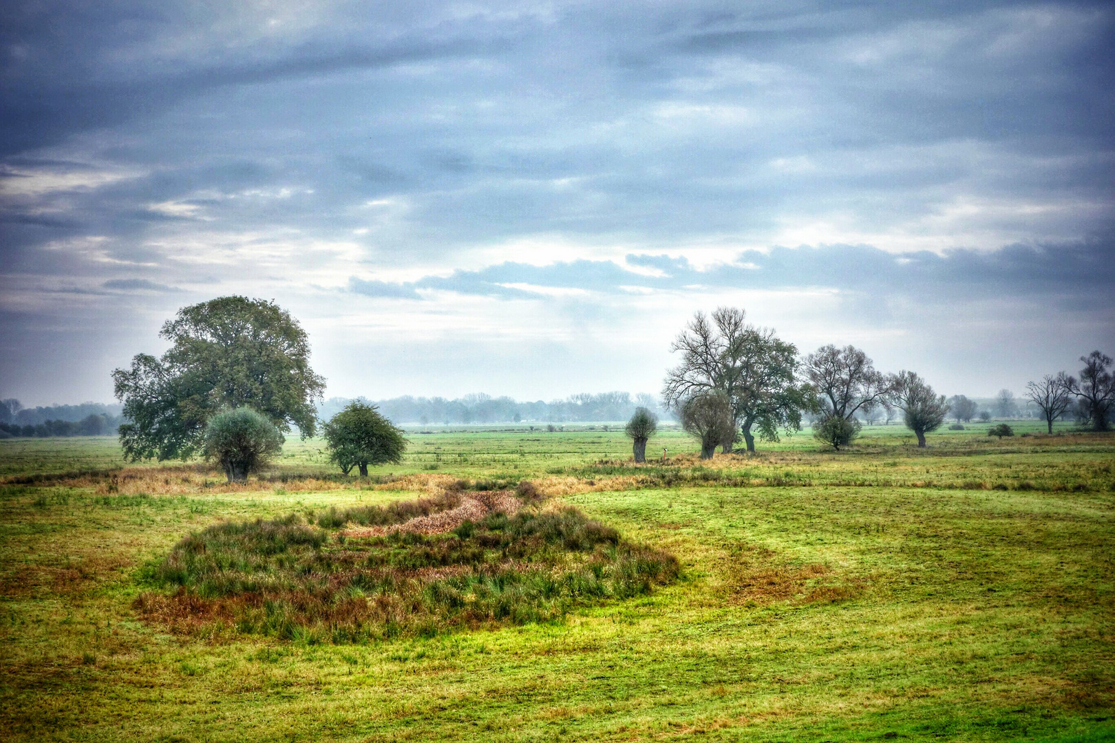 Herbstwiese