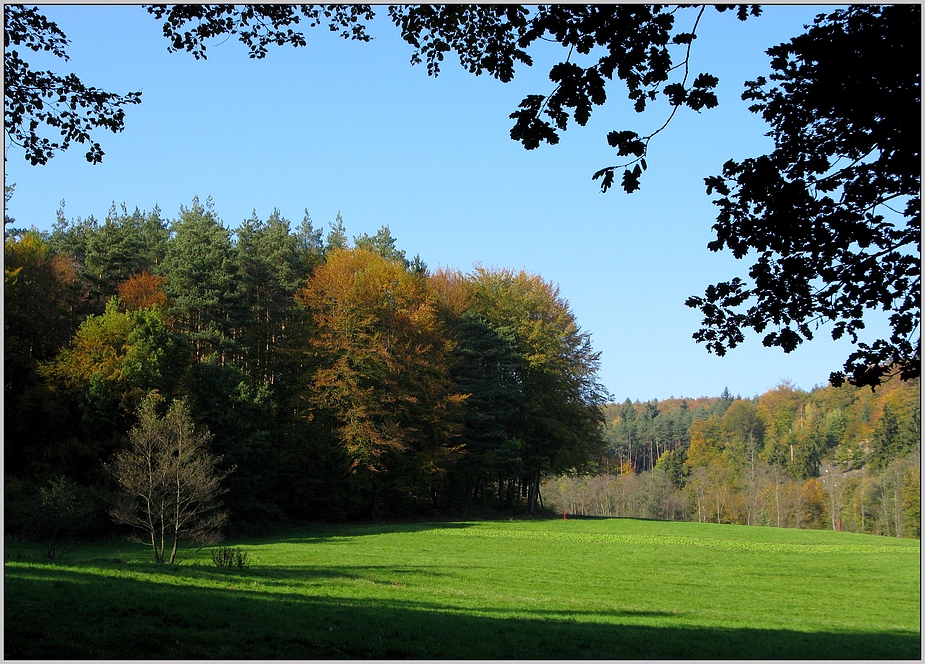 Herbstwiese