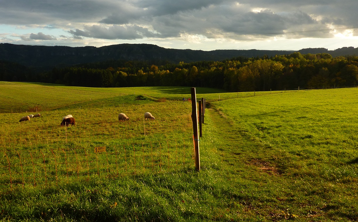 Herbstwiese